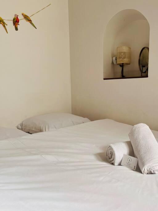 Le Jardin Du Roucas Apartment Marseille Luaran gambar